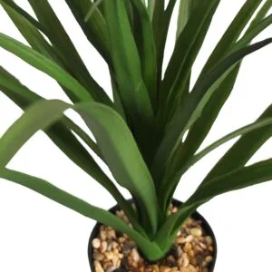 Yucca con protección UV