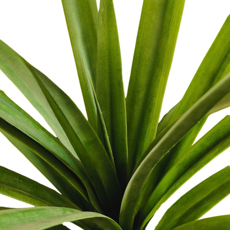 Detalle de hojas de dracaena artificial decorativa