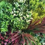 Giardino verticale Forever Garden