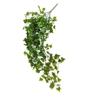 Planta colgante hiedra UV de 75 cm