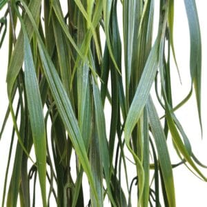 Hängendes UV-Pflanzengras, 80 cm